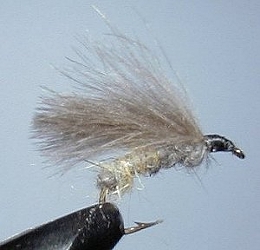 Delaware River fly fishing articles.